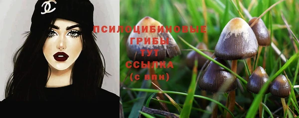 СК Вязьма