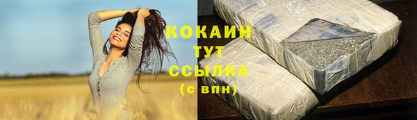 крисы Горно-Алтайск