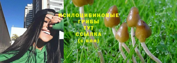 крисы Горно-Алтайск