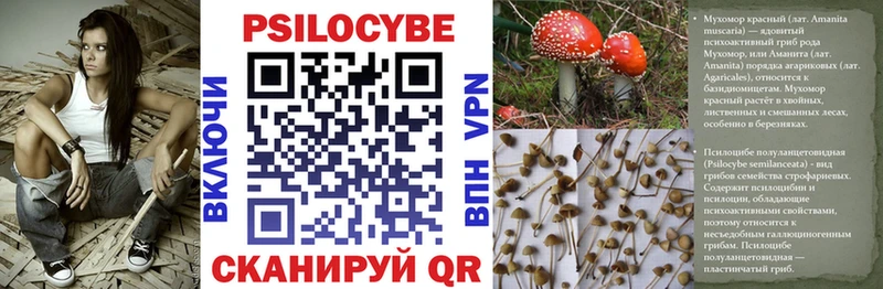 Галлюциногенные грибы мицелий  Вологда 