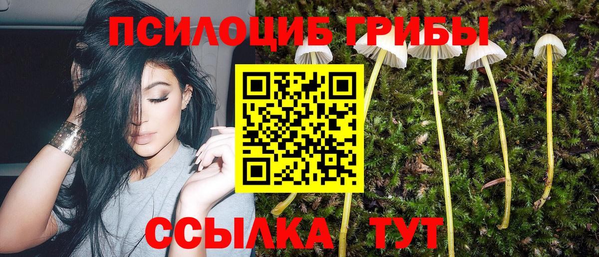 Псилоцибиновые грибы прущие грибы Вологда