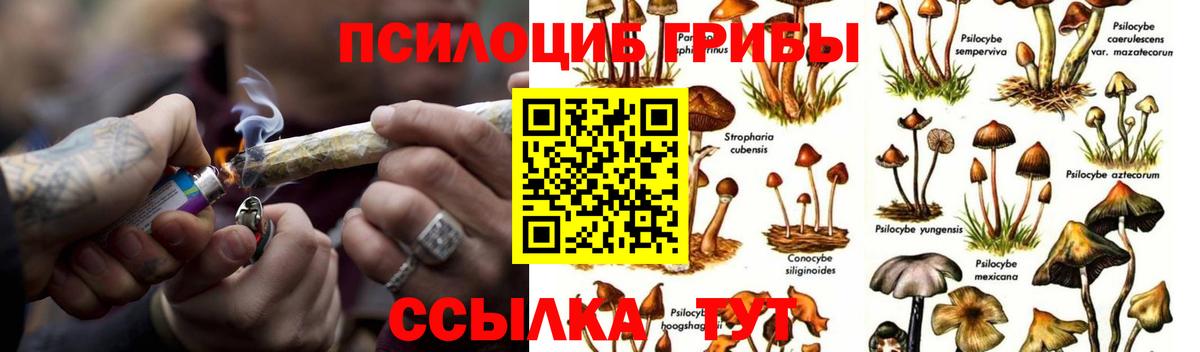Вологда  цена наркотик  Вход с VPN  Псилоцибиновые грибы Magic Shrooms 